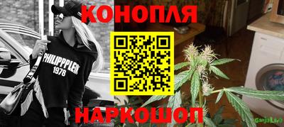 индика Норильск