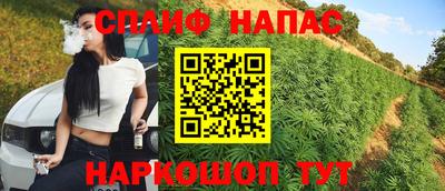 стафф Будённовск