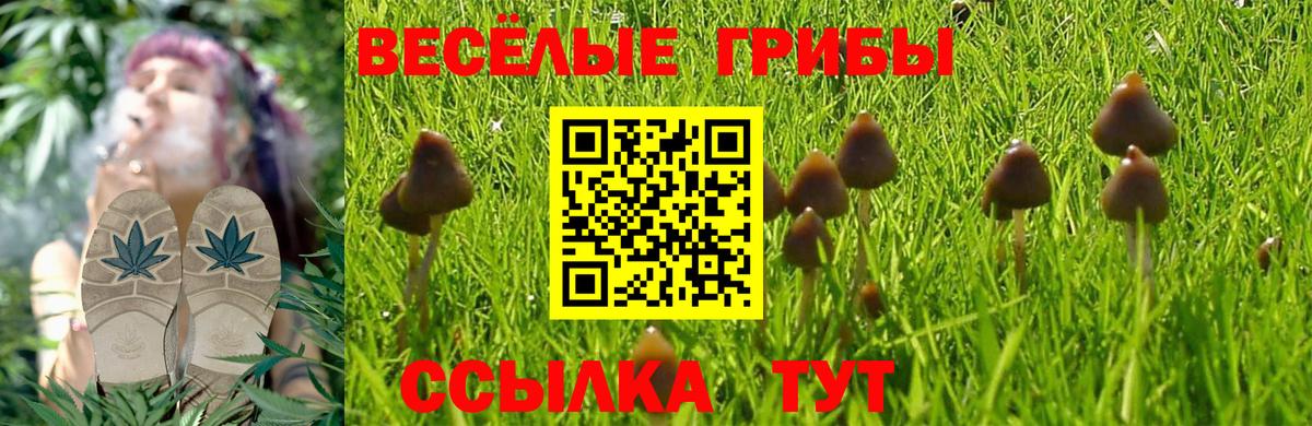 Кудрово  Псилоцибиновые грибы GOLDEN TEACHER  даркнет сайт  Вход с VPN 